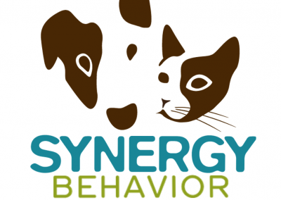 Synergy Behavior Solutions